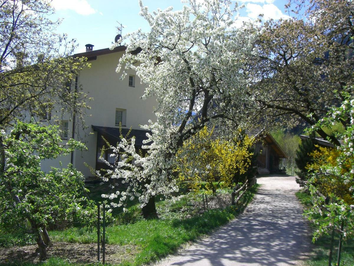 Apartmán Mareinhof - Urlaub Auf Dem Apfelbauernhof Parcines Exteriér fotografie