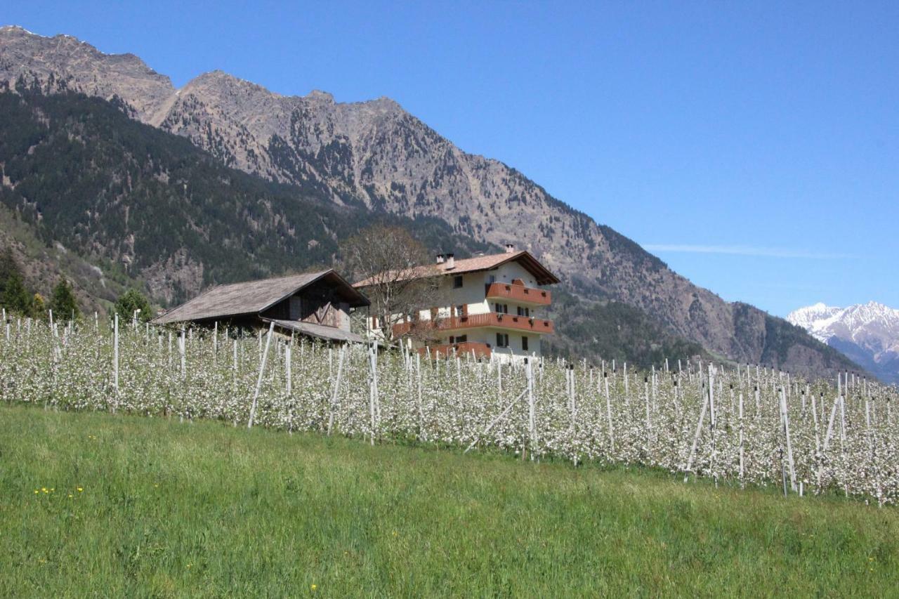 Apartmán Mareinhof - Urlaub Auf Dem Apfelbauernhof Parcines Exteriér fotografie